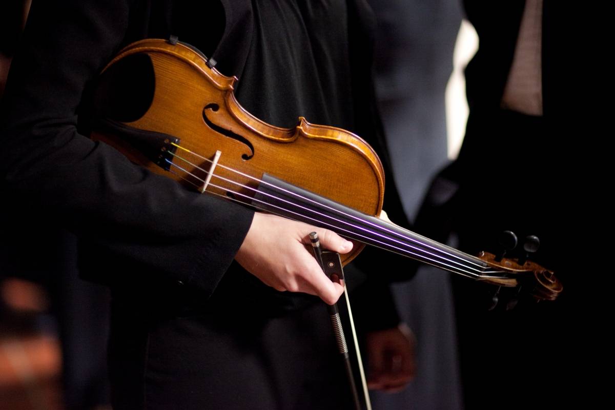 violin