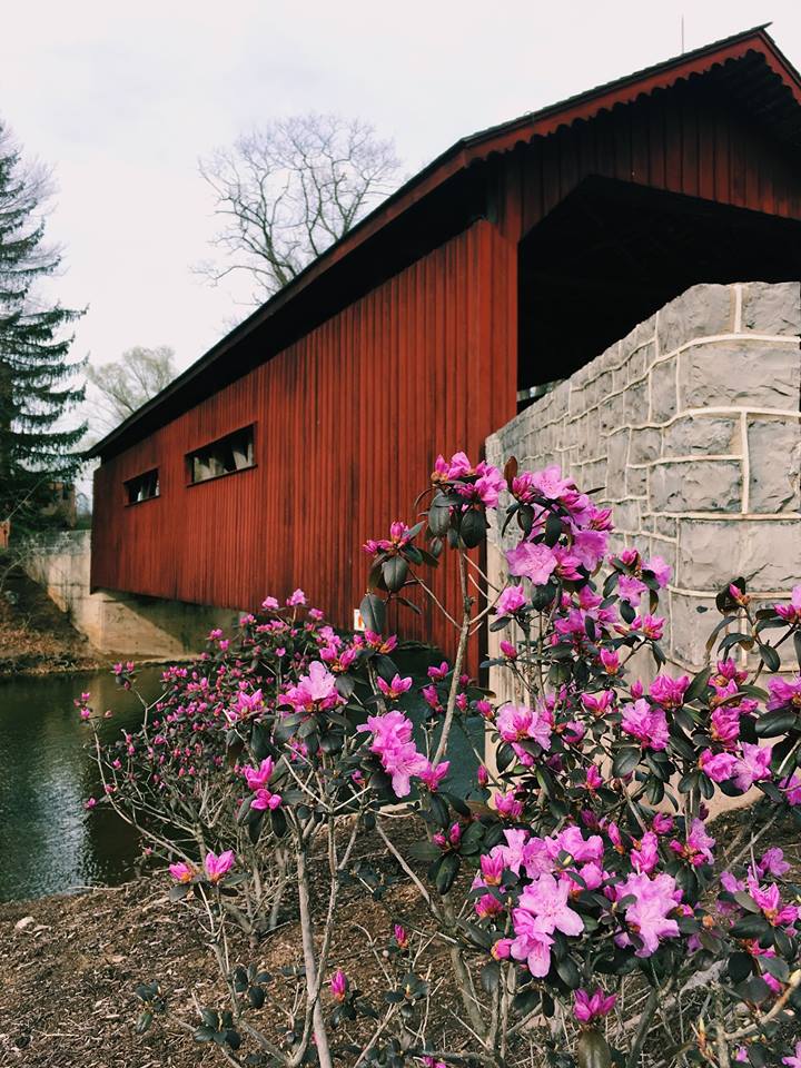 Covered bridge