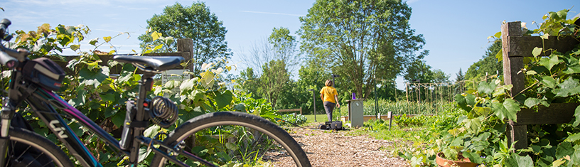 Green space and gardens