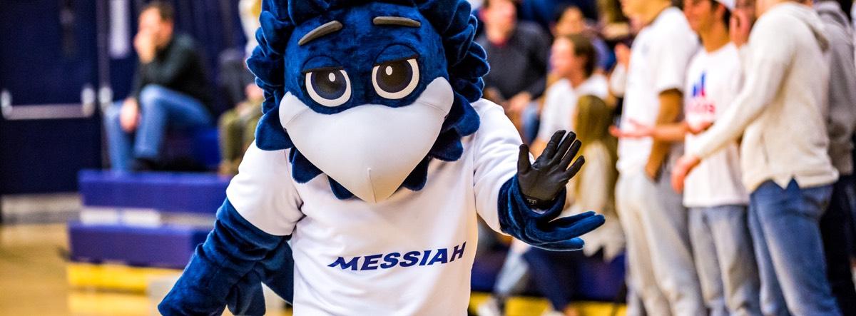 Messiah College falcon at volleyball game.