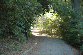 Fitness trail