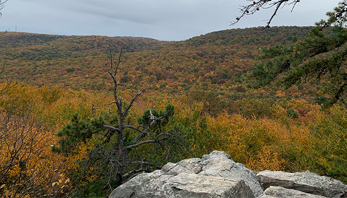 A rocky overlook above a valley of trees with orange leaves.