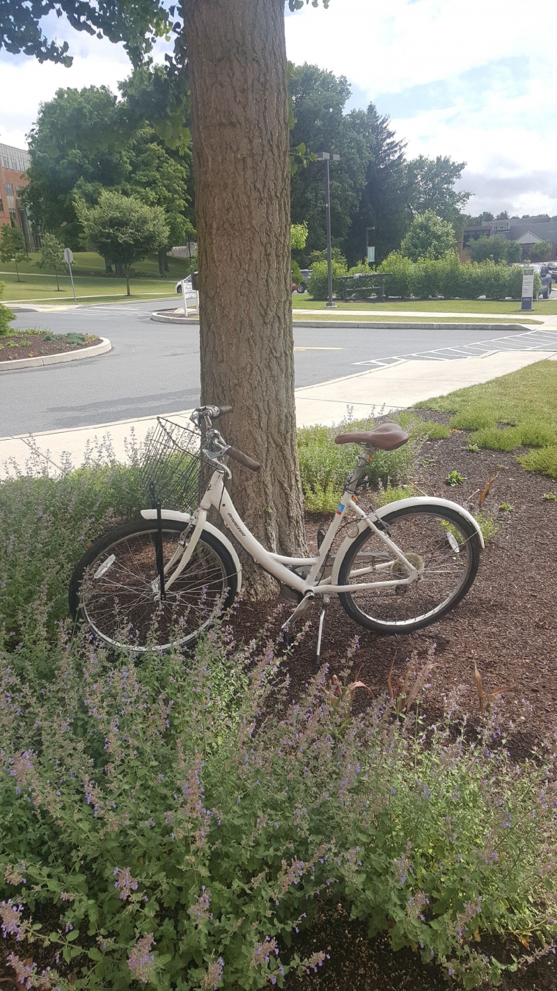 Messiah bikeshare bike