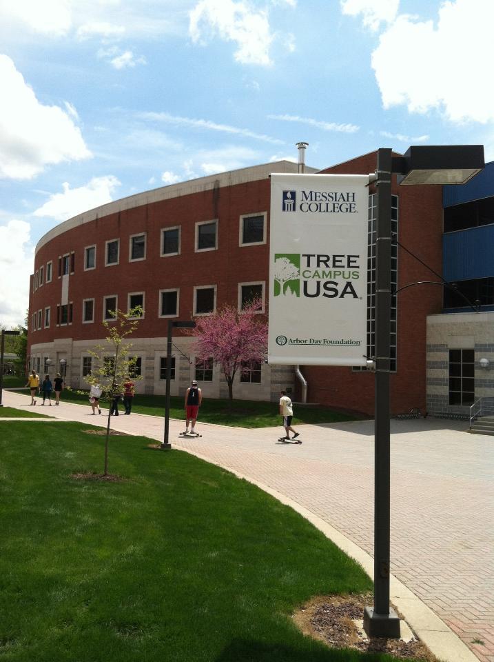 tree campus usa