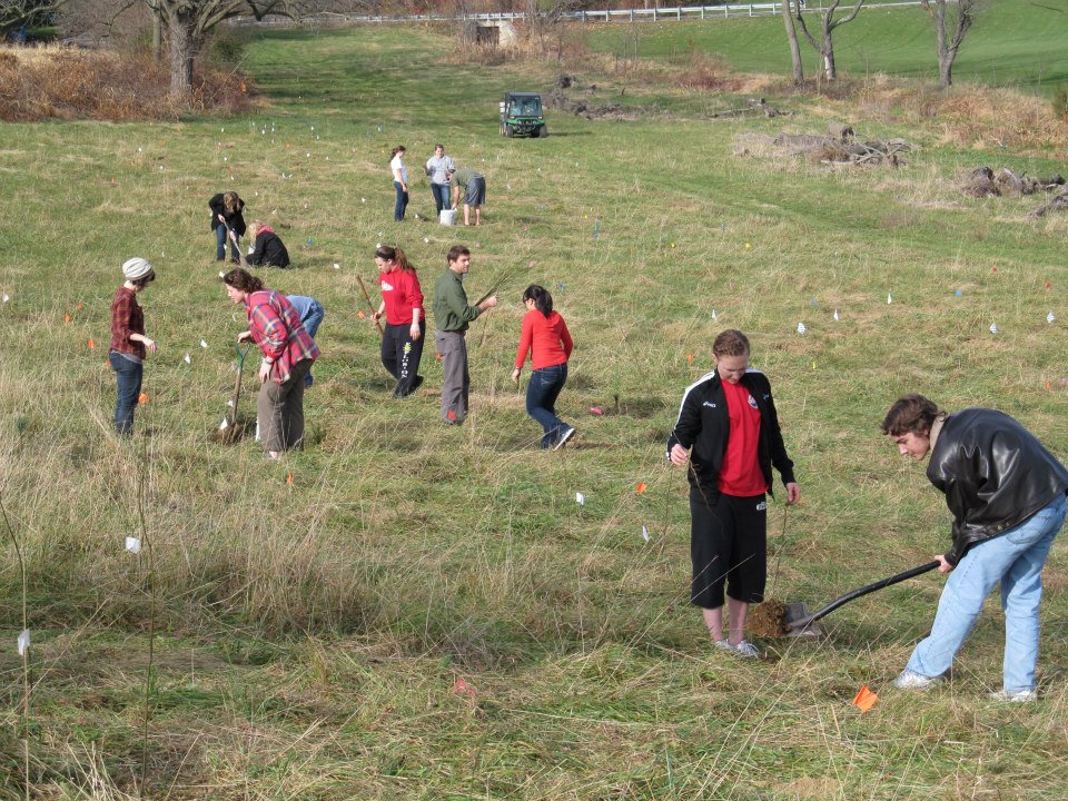 Cemetery Hill Tree Planting