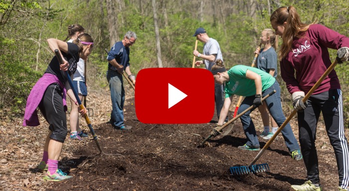 Link to YouTube video. Pictures of students serving.