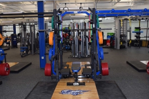 Falcon Fitness Center bar weights