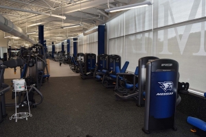 Falcon Fitness Center machine weights