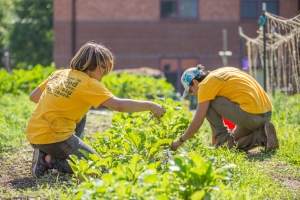 Dana and Tet weeding the garden