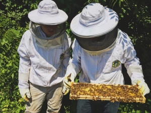 Brandon and Sawyer examining the bees