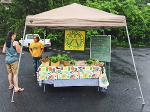 Dana at the Dillsburg Farmer's Market