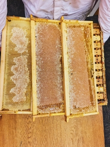 Frames full of honey