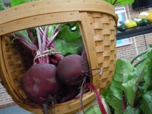 beets from the garden