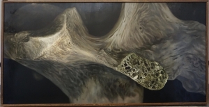 Heverly, Megan - Senior Exhibit P4