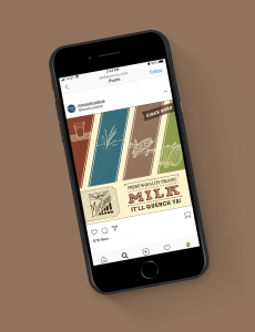 Zoebisch, Abigail - Milk Carton 7