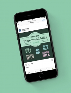 Youngberg, Corinne - Milk Carton 7