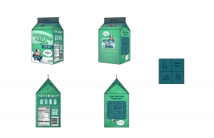 Alfonso, Gian - Milk Carton 2