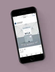 Sanphillipo, Justine - Milk Carton 7