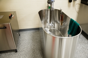 Athletic Training Lab Hydrotherapy Tub