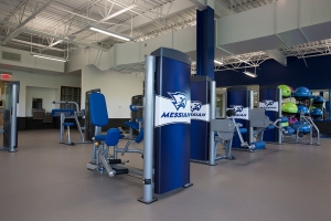Falcon Fitness Center strength equipment