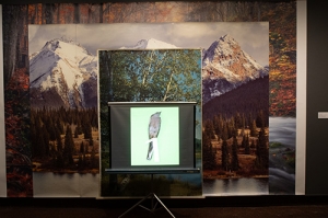 Landscape & Memory