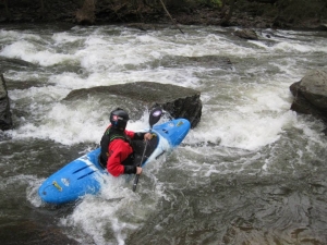 Paddling codurus