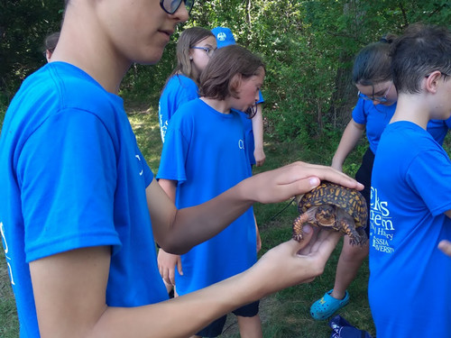 Boy holding box turtle in woods