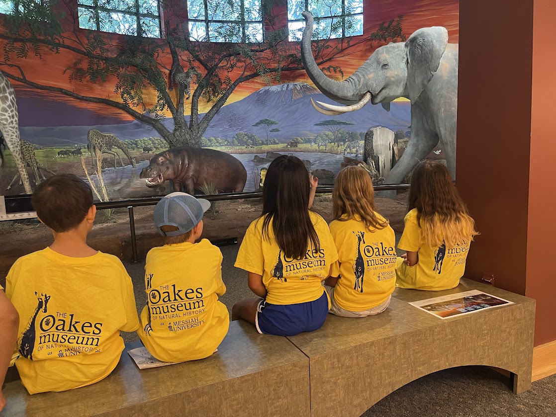 Children sitting in front of an Africa display.