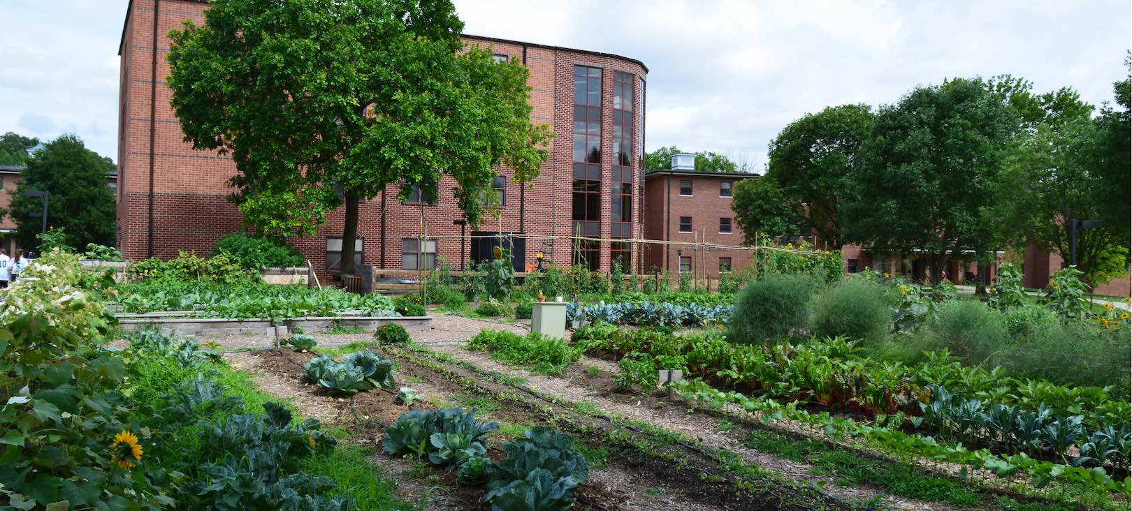 Grantham Community Garden banner_garden.JPG opt.jpg