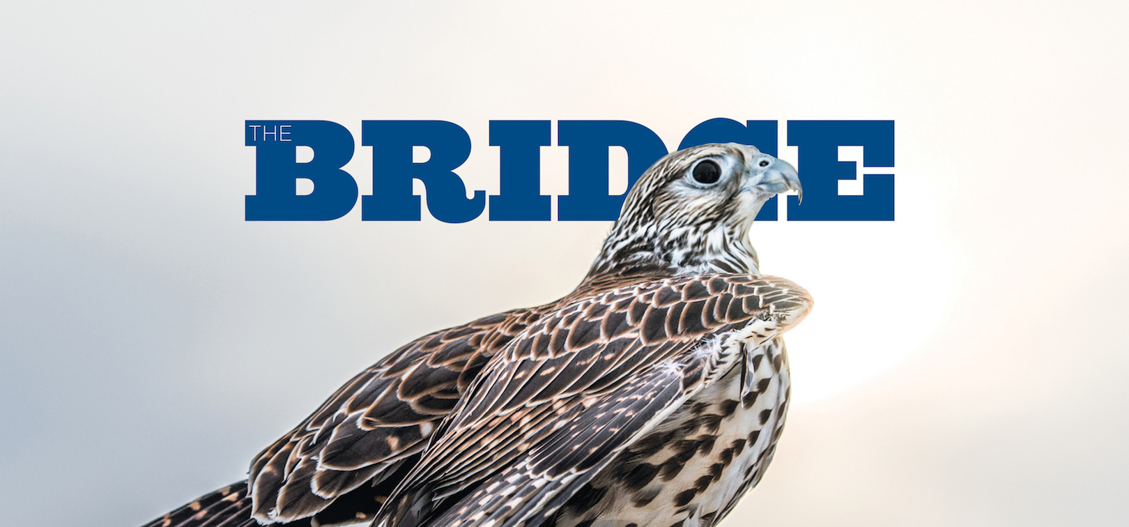 Winter 2017 Bridge webheader Winter2017 cropped.jpg