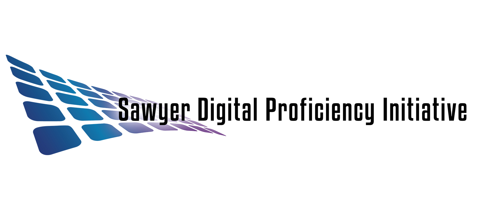 Digital Proficiency SDPI Logo Alone   For use on white background.png