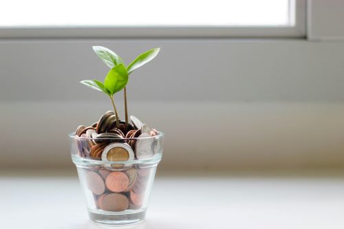 A cup of coins with a plant sprouting from it 