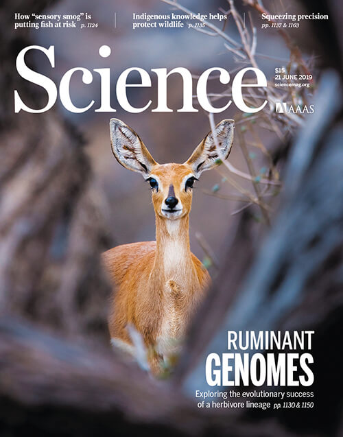 Chem alum gets published.