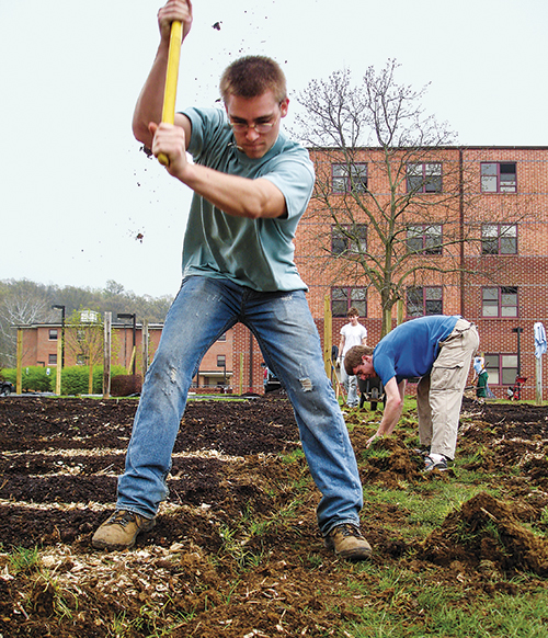 Two young men working together in a community garden, one using a shovel to turn the soil while the other digs nearby.