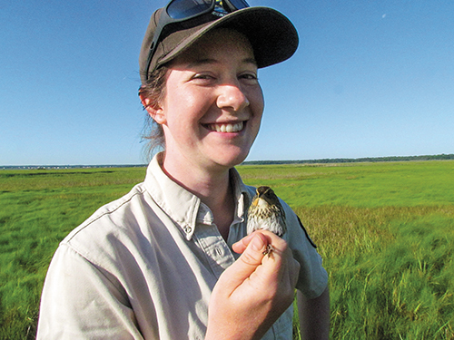 Wildlife biologist protects shore habitats for birds butterflies and more story1