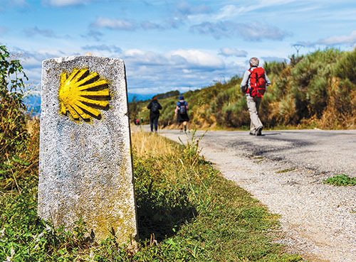 Alum walks 500 miles on pilgrimage