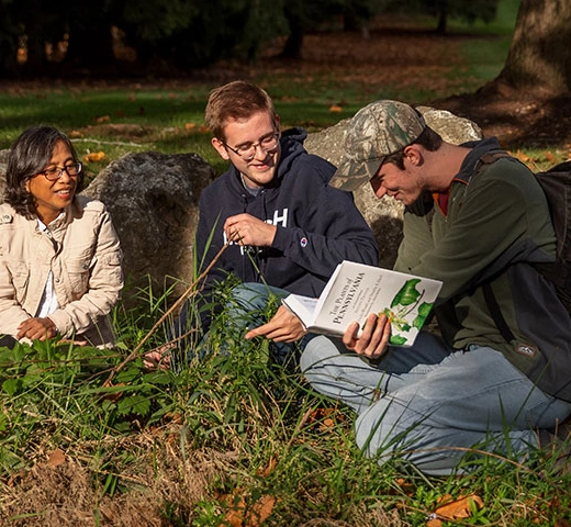 Students working with professor by the creek