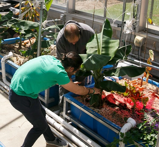 students gardening
